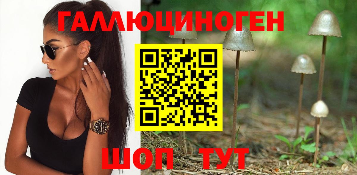 как найти   Галлюциногенные грибы Psilocybine cubensis  Алушта  Вход с VPN  Галлюциногенные грибы мицелий 
